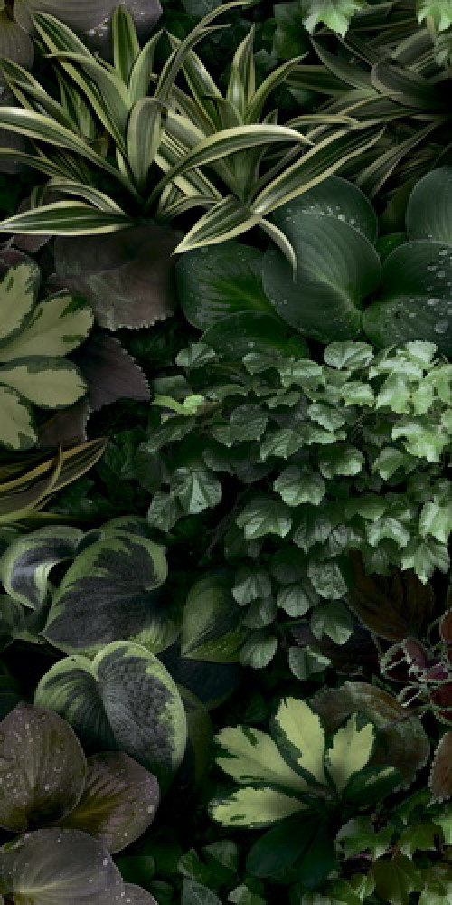 Плитка декор 41Zero42 100x50 Paper41 Pro JANE C 4100153 Плитка декор 41Zero42 100x50 Paper41 Pro JANE C 4100153