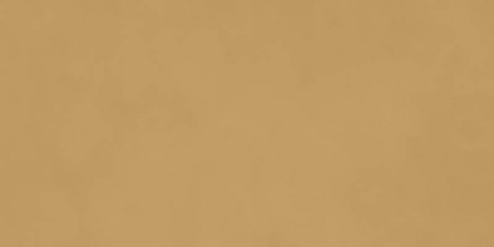 Керамогранит универсальная RA5D Decora Senape Rett матовая коричневый 120x60 8.5мм Ragno Керамогранит универсальная RA5D Decora Senape Rett матовая коричневый 120x60 8.5мм Ragno