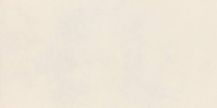 Керамогранит универсальная RA59 Decora Bianco Rett матовая белый 120x60 8.5мм Ragno Керамогранит универсальная RA59 Decora Bianco Rett матовая белый 120x60 8.5мм Ragno