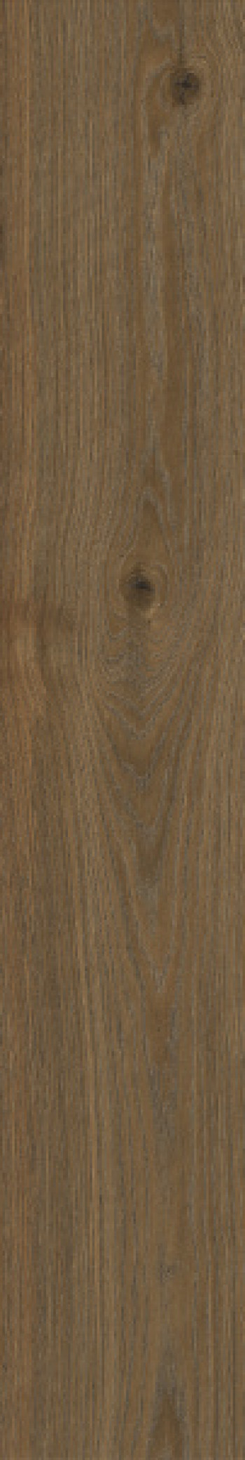 Керамогранит универсальная RC6R Secret Marrone RT матовая коричневый 120x20 8.5мм Ragno Керамогранит универсальная RC6R Secret Marrone RT матовая коричневый 120x20 8.5мм Ragno