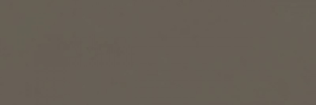 Плитка настенная RA6F Vida Fango Rett матовая серый 90x30 10.0мм Ragno Плитка настенная RA6F Vida Fango Rett матовая серый 90x30 10.0мм Ragno