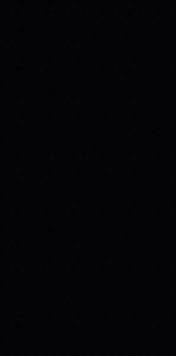 Плитка Laminam Collection Nero Assoluto 12+ Lamf008281 324x162 13мм Плитка Laminam Collection Nero Assoluto 12+ Lamf008281 324x162 13мм