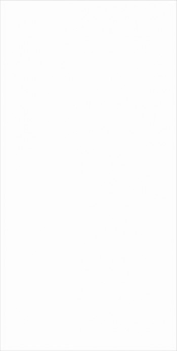 Плитка Laminam Collection Bianco Assoluto Lucidato 5+ Lamff00562 324x162 6мм Плитка Laminam Collection Bianco Assoluto Lucidato 5+ Lamff00562 324x162 6мм