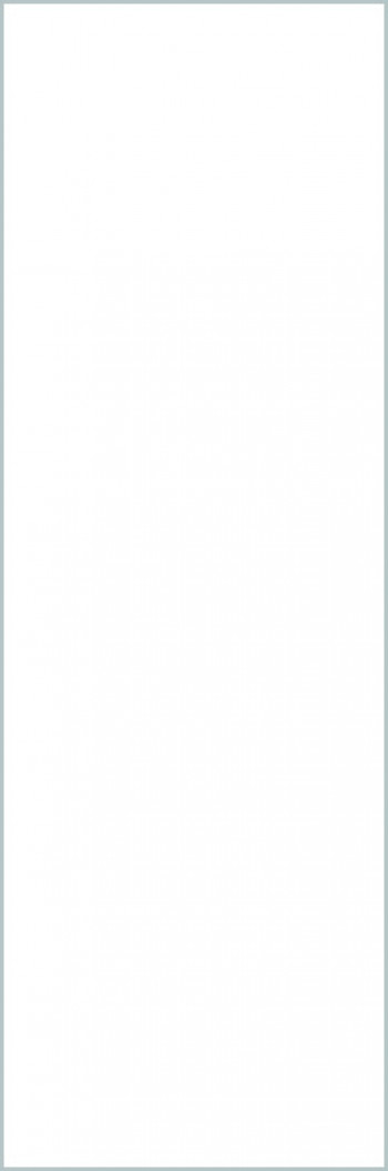 Плитка Laminam Collection Bianco Assoluto Lucidato 5 Lamff00577 300x100 6мм Плитка Laminam Collection Bianco Assoluto Lucidato 5 Lamff00577 300x100 6мм