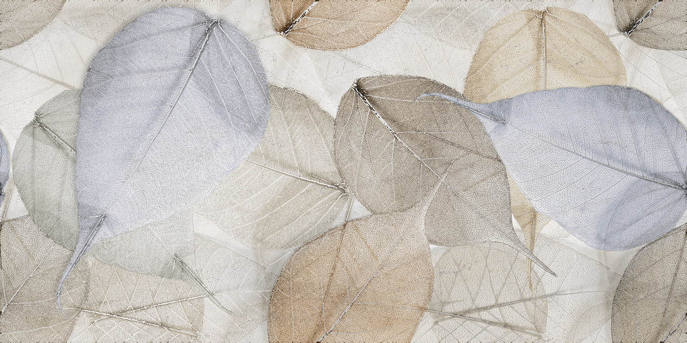 Плитка Laparet Uffizi crema Декор OS-A401-48000R глянцевый обрезной глазурованная глянцевая 80x40 Плитка Laparet Uffizi crema Декор OS-A401-48000R глянцевый обрезной глазурованная глянцевая 80x40