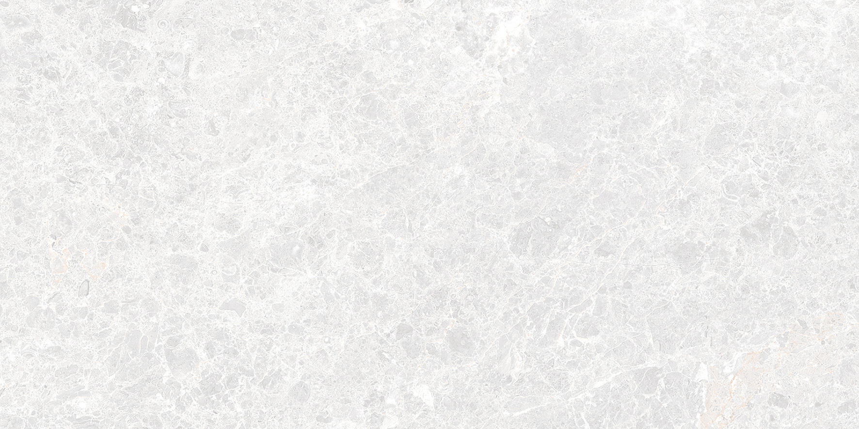 Керамогранит Laparet Emperador Blanco светло-серый глазурованная матовый карвинг 120x60 Керамогранит Laparet Emperador Blanco светло-серый глазурованная матовый карвинг 120x60