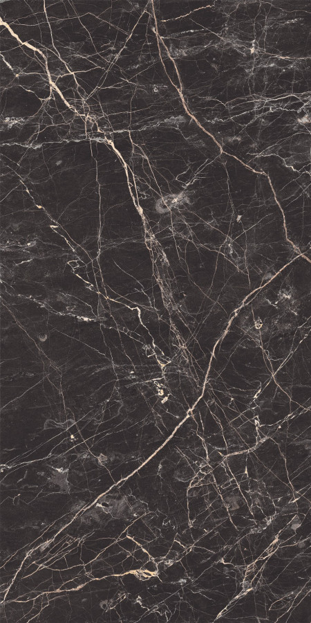 Керамогранит Laparet Black Arkadia черный глазурованная полированная 120x60 Керамогранит Laparet Black Arkadia черный глазурованная полированная 120x60