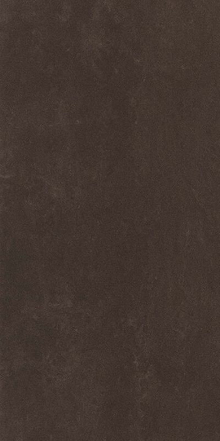 Плитка Casalgrande Padana Timeless Charcoal Levigato 14147050 120x60 9мм глянцевая коричневый камень Плитка Casalgrande Padana Timeless Charcoal Levigato 14147050 120x60 9мм глянцевая коричневый камень