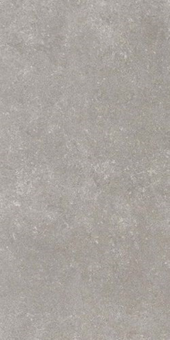 Плитка Casalgrande Padana Timeless Seal 14790052 60x30 9мм матовая серый камень Плитка Casalgrande Padana Timeless Seal 14790052 60x30 9мм матовая серый камень