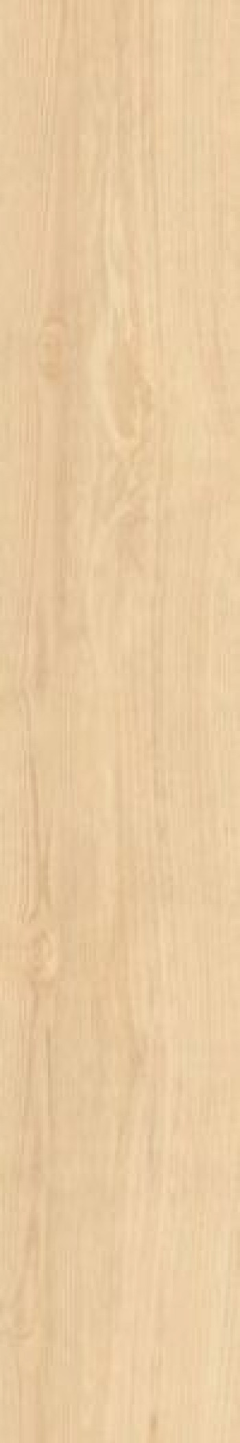 Плитка Casalgrande Padana Mesola 17100028 120x20 9мм Плитка Casalgrande Padana Mesola 17100028 120x20 9мм