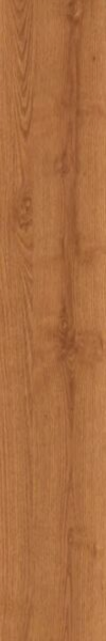 Плитка Casalgrande Padana Pollino 17100032 120x20 9мм Плитка Casalgrande Padana Pollino 17100032 120x20 9мм