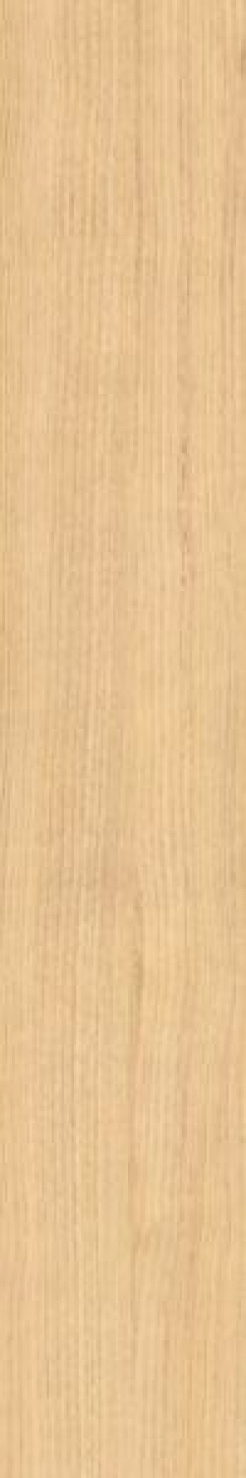 Плитка Casalgrande Padana Migliarino 17100029 120x20 9мм Плитка Casalgrande Padana Migliarino 17100029 120x20 9мм