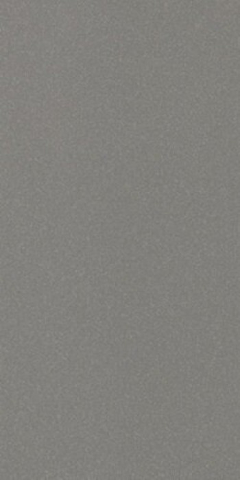 Плитка Casalgrande Padana Chicago Antibacterial 3795784 60x30 9мм темно-серый камень Плитка Casalgrande Padana Chicago Antibacterial 3795784 60x30 9мм темно-серый камень