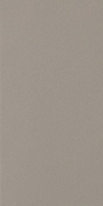 Плитка Casalgrande Padana Seattle Antibacterial 3795785 60x30 9мм темно-серый камень Плитка Casalgrande Padana Seattle Antibacterial 3795785 60x30 9мм темно-серый камень