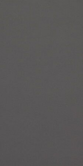 Плитка Casalgrande Padana Archdark Grey 4140046 120x60 9мм Плитка Casalgrande Padana Archdark Grey 4140046 120x60 9мм