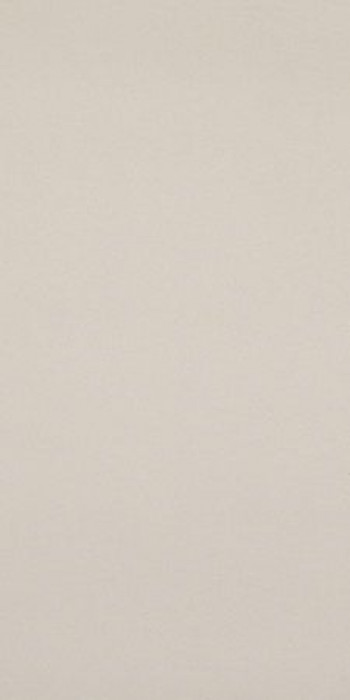 Плитка Casalgrande Padana Archdark Ivory 4140056 120x60 9мм Плитка Casalgrande Padana Archdark Ivory 4140056 120x60 9мм