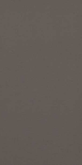 Плитка Casalgrande Padana Archlight Brown 4140050 120x60 9мм Плитка Casalgrande Padana Archlight Brown 4140050 120x60 9мм