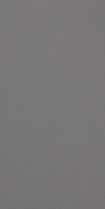 Плитка Casalgrande Padana Archmedium Grey 4140049 120x60 9мм Плитка Casalgrande Padana Archmedium Grey 4140049 120x60 9мм