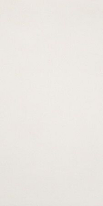 Плитка Casalgrande Padana Archlight Ivory 4140053 120x60 9мм Плитка Casalgrande Padana Archlight Ivory 4140053 120x60 9мм