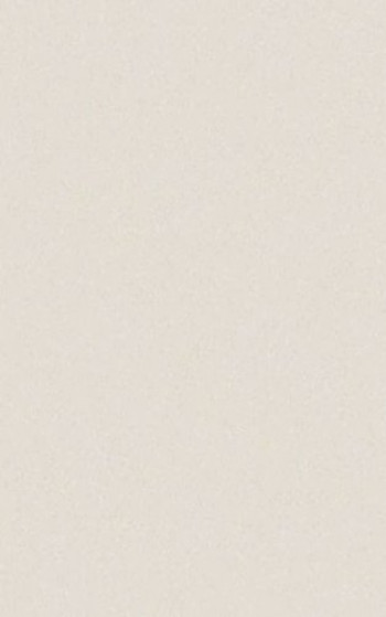 Плитка Casalgrande Padana Archwhite 4040052 90x45 10мм матовая белый Плитка Casalgrande Padana Archwhite 4040052 90x45 10мм матовая белый