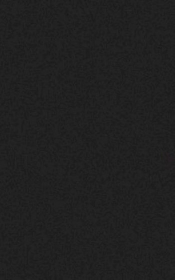 Плитка Casalgrande Padana Archblack 4040048 90x45 10мм матовая Плитка Casalgrande Padana Archblack 4040048 90x45 10мм матовая