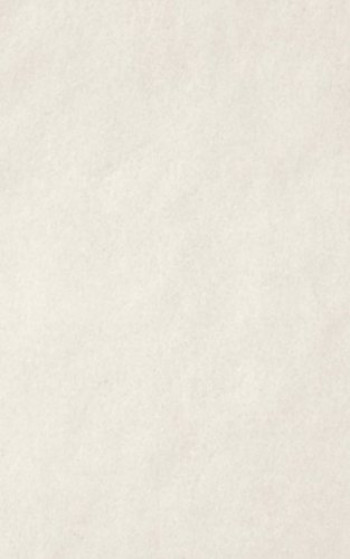 Плитка Casalgrande Padana Archwhite Antibacterial 4045752 90x45 10мм матовая белый Плитка Casalgrande Padana Archwhite Antibacterial 4045752 90x45 10мм матовая белый