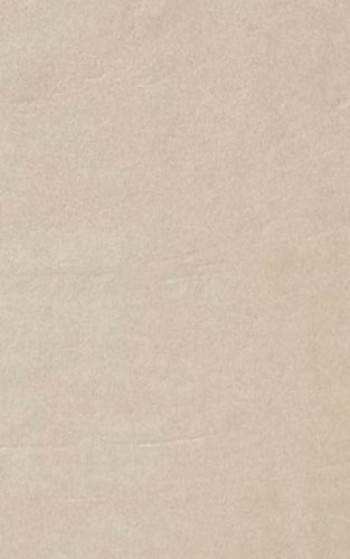 Плитка Casalgrande Padana Archdark Ivory Antibacterial 4045756 90x45 10мм матовая Плитка Casalgrande Padana Archdark Ivory Antibacterial 4045756 90x45 10мм матовая