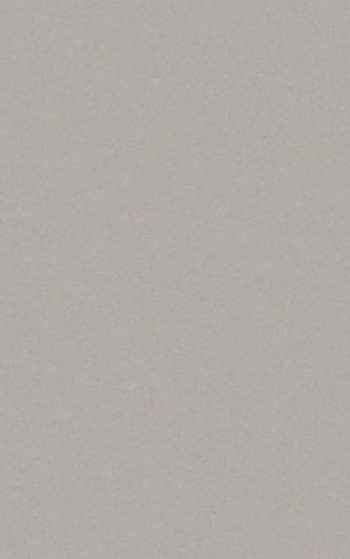 Плитка Casalgrande Padana Archcool Grey 4040055 90x45 10мм матовая Плитка Casalgrande Padana Archcool Grey 4040055 90x45 10мм матовая