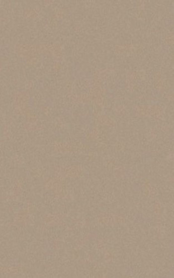 Плитка Casalgrande Padana Archbeige 4040057 90x45 10мм матовая бежевый Плитка Casalgrande Padana Archbeige 4040057 90x45 10мм матовая бежевый