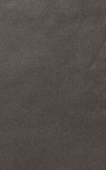 Плитка Casalgrande Padana Archdark Grey 4040046 90x45 10мм матовая Плитка Casalgrande Padana Archdark Grey 4040046 90x45 10мм матовая