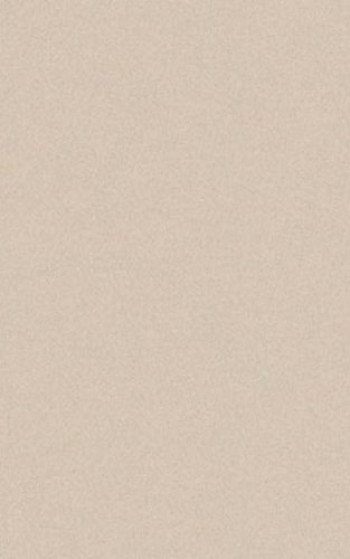 Плитка Casalgrande Padana Archdark Ivory 4040056 90x45 10мм матовая Плитка Casalgrande Padana Archdark Ivory 4040056 90x45 10мм матовая