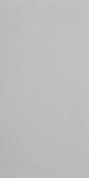 Плитка Casalgrande Padana Archcool Grey Antibacterial 4795755 60x30 9мм матовая Плитка Casalgrande Padana Archcool Grey Antibacterial 4795755 60x30 9мм матовая