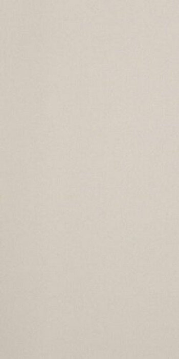 Плитка Casalgrande Padana Archdark Ivory 4790156 60x30 9мм матовая Плитка Casalgrande Padana Archdark Ivory 4790156 60x30 9мм матовая