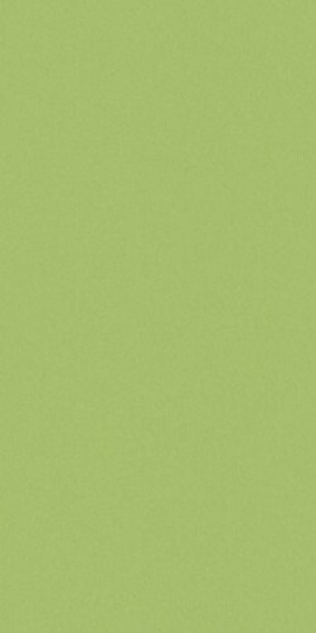 Плитка Casalgrande Padana Archacid Green 3790112 60x30 9мм матовая Плитка Casalgrande Padana Archacid Green 3790112 60x30 9мм матовая