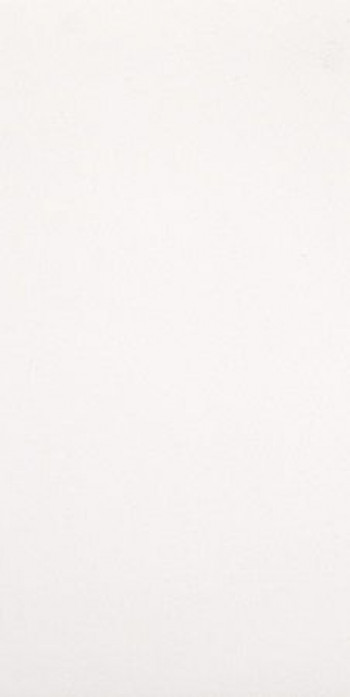 Плитка Casalgrande Padana Archwhite 4140152 120x60 9мм Плитка Casalgrande Padana Archwhite 4140152 120x60 9мм