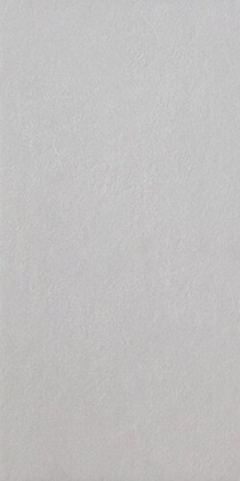 Плитка Casalgrande Padana Spazio Argento 3790072 60x30 9мм матовая серый бетон, цемент Плитка Casalgrande Padana Spazio Argento 3790072 60x30 9мм матовая серый бетон, цемент