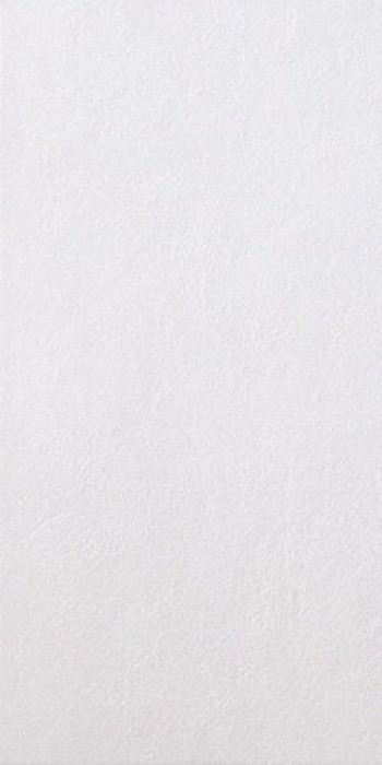 Плитка Casalgrande Padana Spazio Bianco 3790068 60x30 9мм матовая белый бетон, цемент Плитка Casalgrande Padana Spazio Bianco 3790068 60x30 9мм матовая белый бетон, цемент