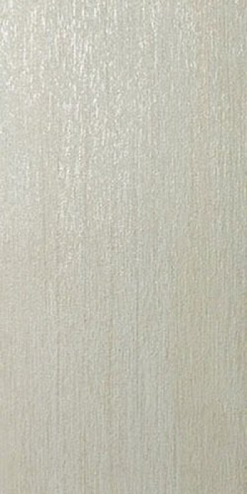 Плитка Casalgrande Padana Iridio 7790094 60x30 9мм металлизированная серый металл Плитка Casalgrande Padana Iridio 7790094 60x30 9мм металлизированная серый металл