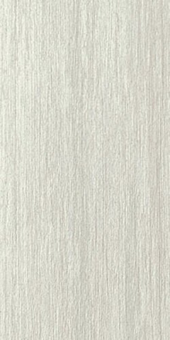 Плитка Casalgrande Padana Platino Antibacterial 6795780 60x30 9мм серый металл Плитка Casalgrande Padana Platino Antibacterial 6795780 60x30 9мм серый металл