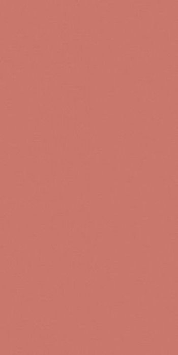 Плитка Casalgrande Padana Rubino 13570030 278x120 6мм розовый однотонная Плитка Casalgrande Padana Rubino 13570030 278x120 6мм розовый однотонная