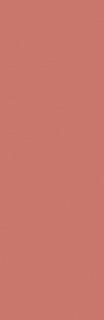 Плитка Casalgrande Padana Rubino 13920030 120x40 6мм розовый однотонная Плитка Casalgrande Padana Rubino 13920030 120x40 6мм розовый однотонная