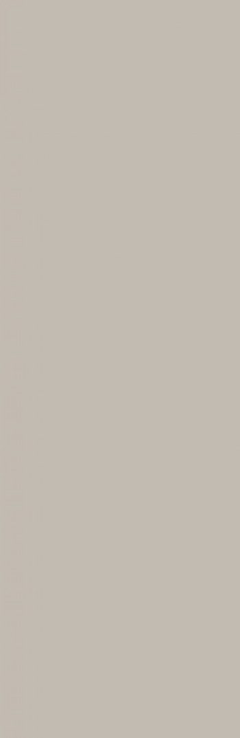 Плитка Casalgrande Padana Brume 13920036 120x40 6мм серый однотонная Плитка Casalgrande Padana Brume 13920036 120x40 6мм серый однотонная