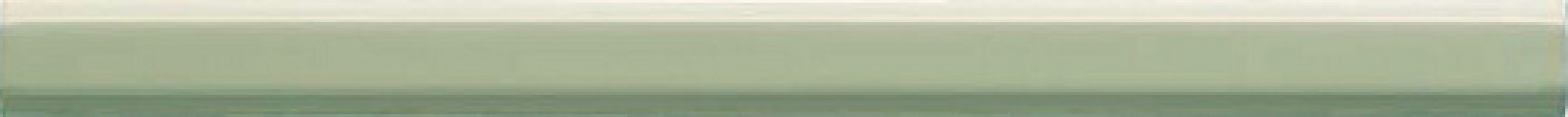 Плитка бордюр Ceramiche Grazia 26x2 Essenze Matita Capitello Felce MATC04 Плитка бордюр Ceramiche Grazia 26x2 Essenze Matita Capitello Felce MATC04