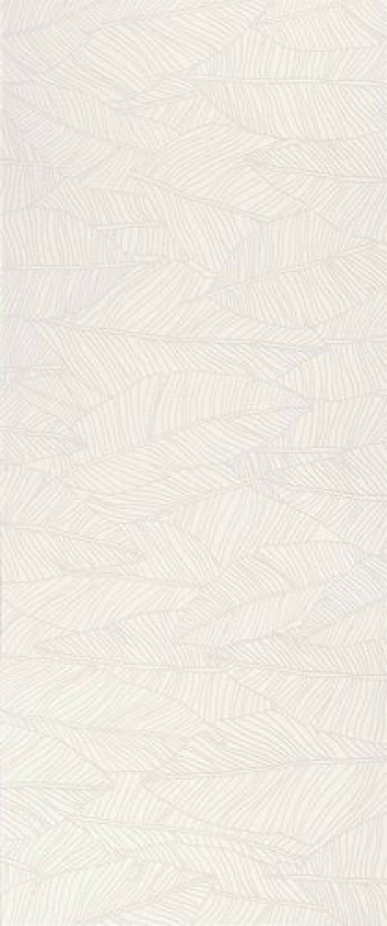 Плитка Atlas Concorde Aplomb White Leaf A6Fc матовая белый под обои 120x50 9мм Плитка Atlas Concorde Aplomb White Leaf A6Fc матовая белый под обои 120x50 9мм