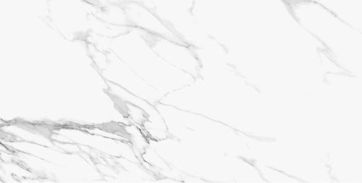 Керамогранит 120x60 Statuario Michelangelo Naturale Tele Di Marmo матовая белый мрамор 9.5мм Emil Ceramica Керамогранит 120x60 Statuario Michelangelo Naturale Tele Di Marmo матовая белый мрамор 9.5мм Emil Ceramica