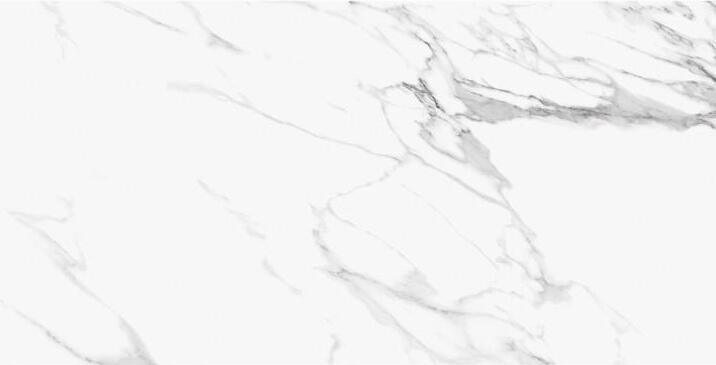 Керамогранит 118x59 Statuario Michelangelo Lappato Tele Di Marmo глянцевая белый мрамор 9.5мм Emil Ceramica Керамогранит 118x59 Statuario Michelangelo Lappato Tele Di Marmo глянцевая белый мрамор 9.5мм Emil Ceramica