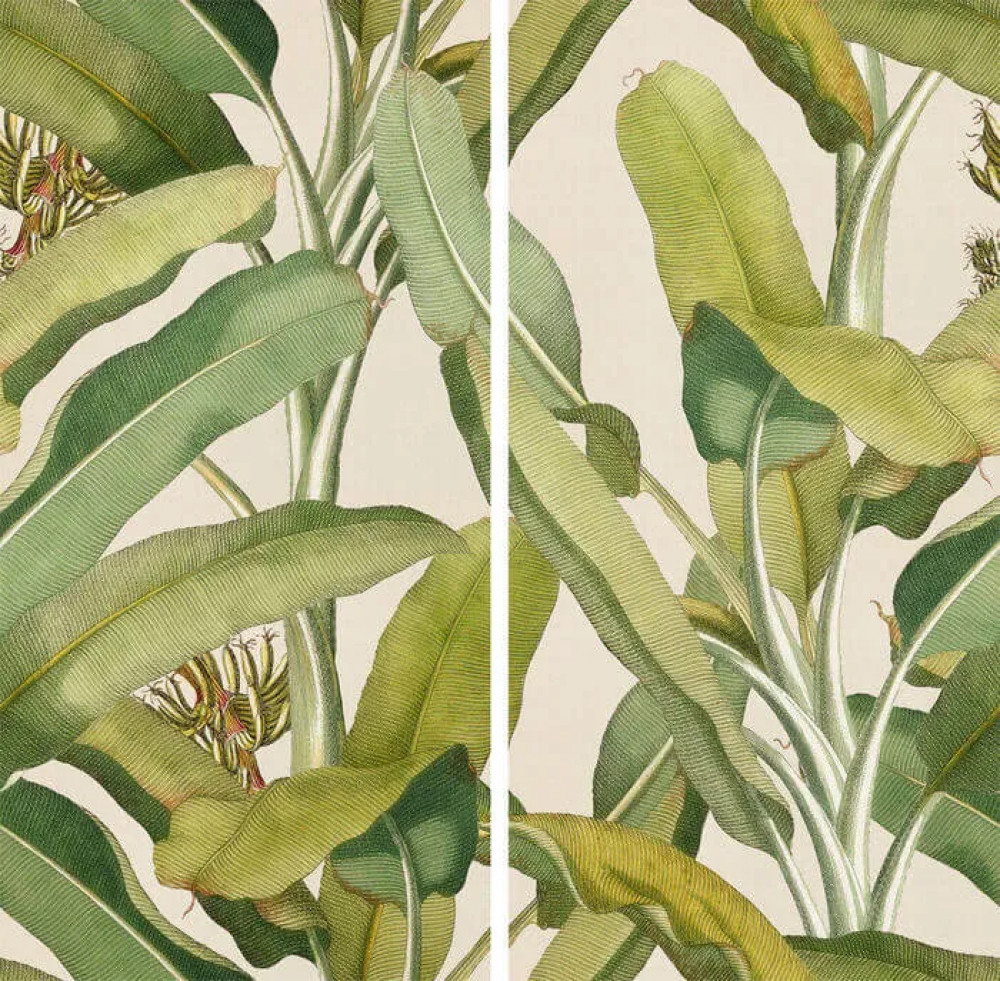 Панно Paper Pro Musa 50x100 41zero42 Панно Paper Pro Musa 50x100 41zero42