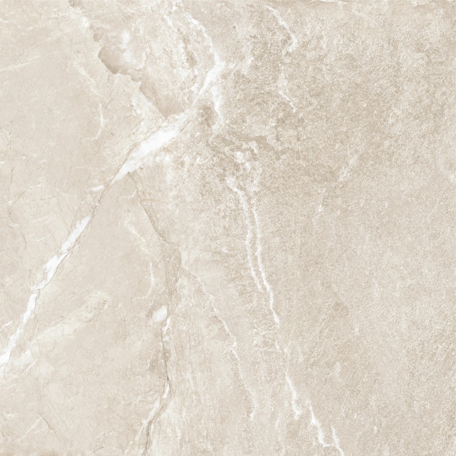 Керамогранит 60x60 D60262M New Trend Вайлд / Wild матовая 10мм Керамогранит 60x60 D60262M New Trend Вайлд / Wild матовая 10мм