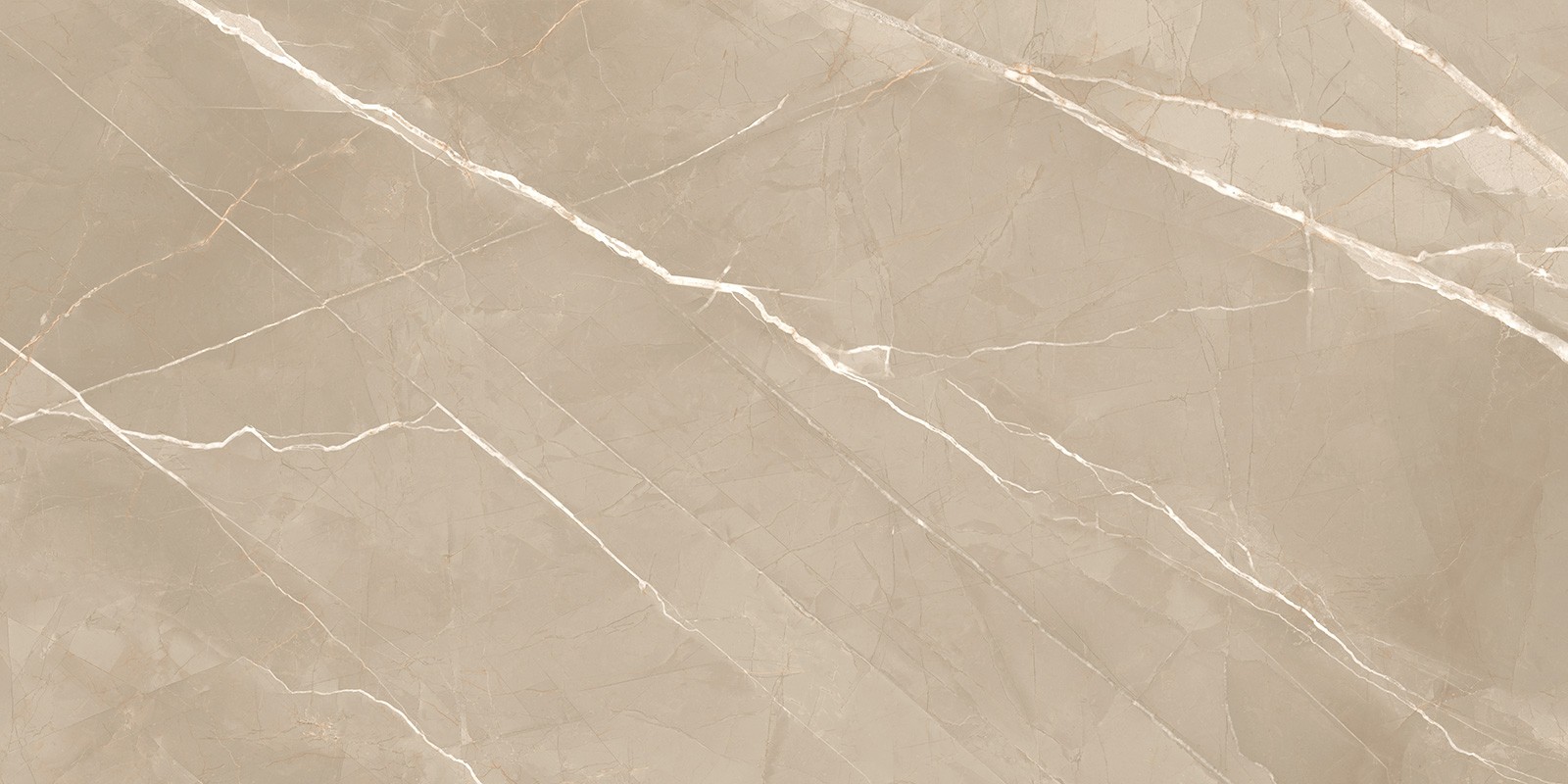 Керамогранит 60x120 60120ESE21P New Trend Эссеншл / Essential полированная 7мм Керамогранит 60x120 60120ESE21P New Trend Эссеншл / Essential полированная 7мм