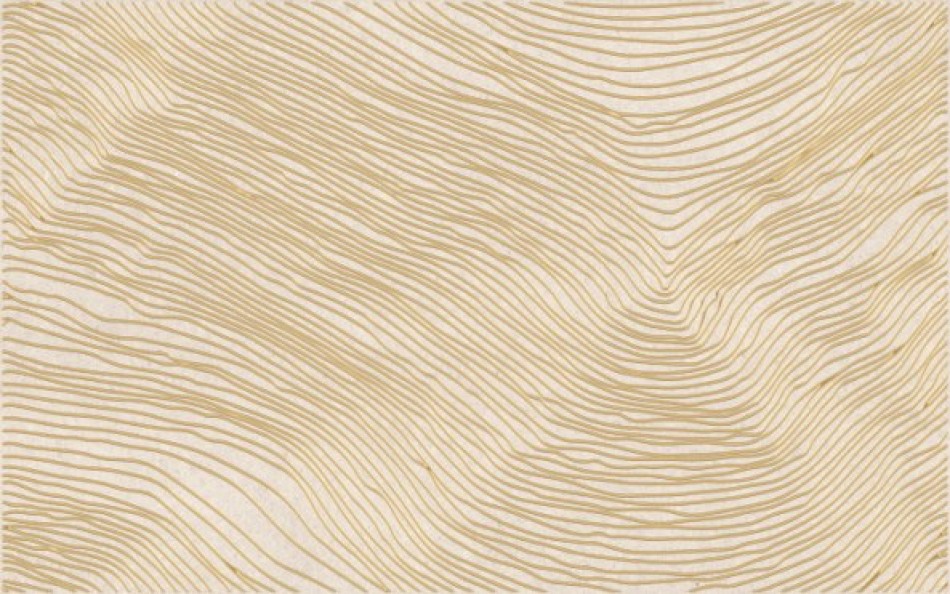 Плитка Шахтинская 40x25 Эфа декор бежевый 01 матовая Плитка Шахтинская 40x25 Эфа декор бежевый 01 матовая